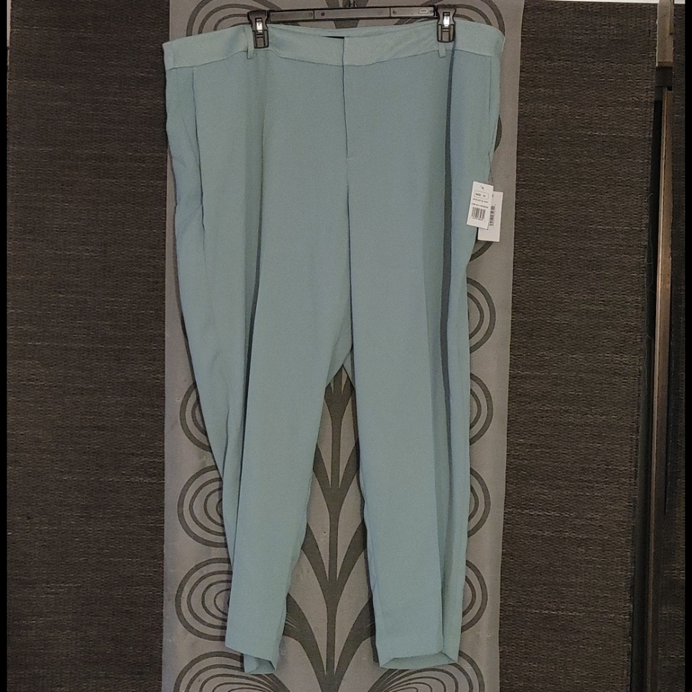 Nwt baby blue womens slacks size 24